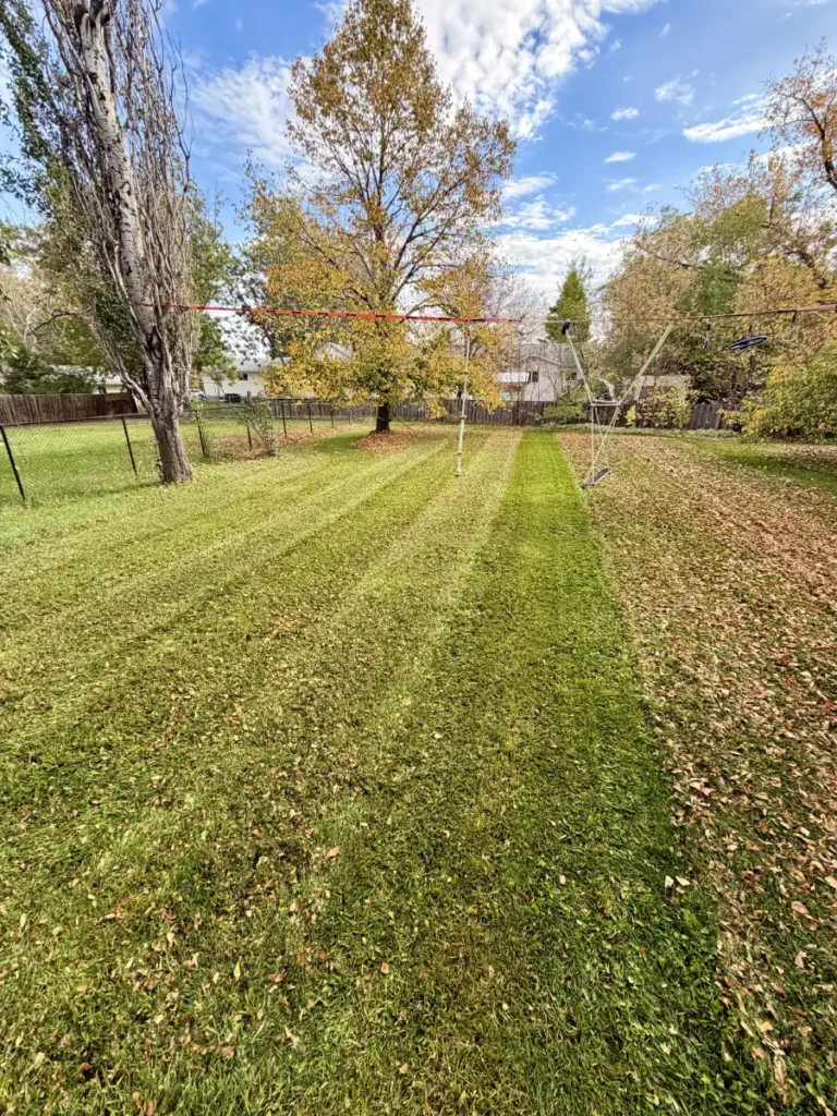 fall cleanups