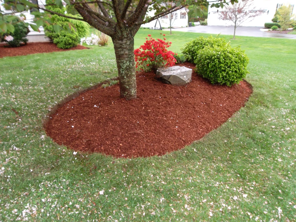 spring lawn cleanup winnipeg yard debris removal