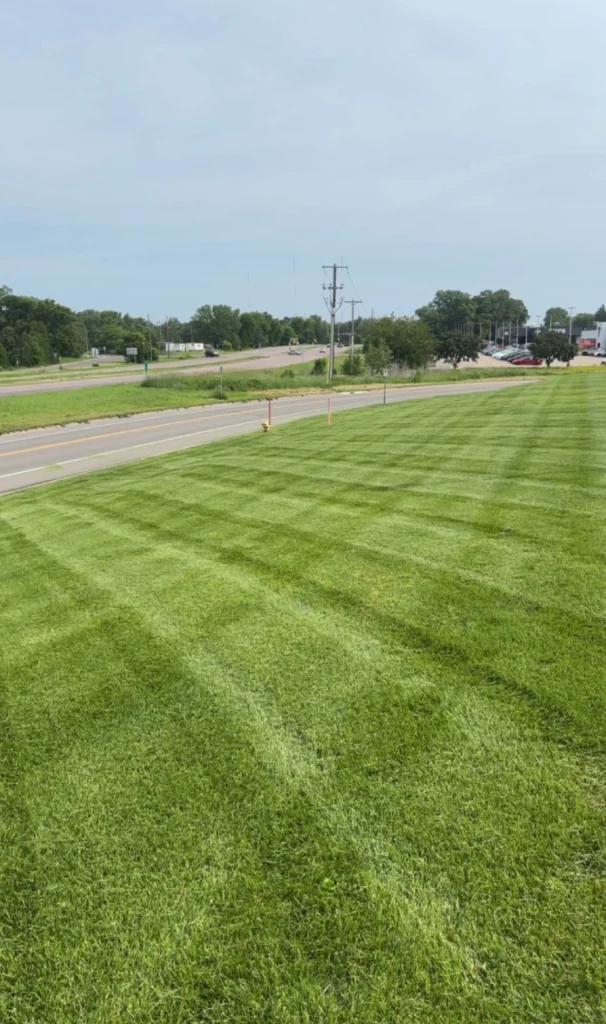 lawn maintenance winnipeg striped residential lawn